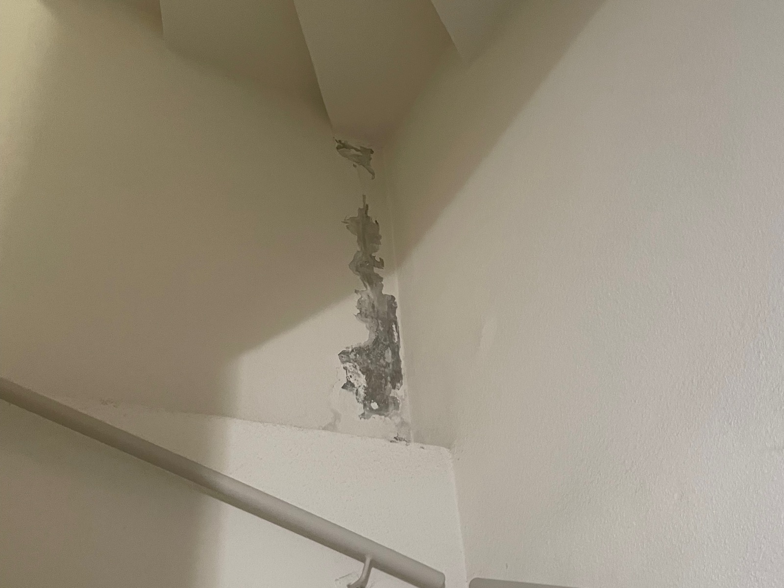 Photo prise pendant une visite : enduit décollé par une infiltration, dans l’angle d’une cage d’escalier.